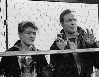 Marlon Brando Poster 2557441