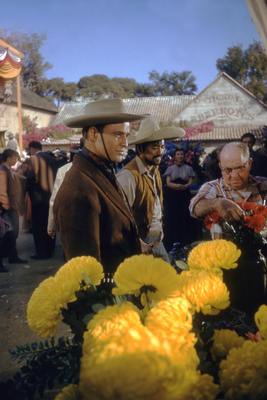 Marlon Brando Poster 2681903