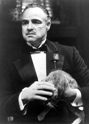 Marlon Brando Poster 2681906