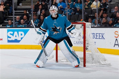 Martin Jones Poster 3542107