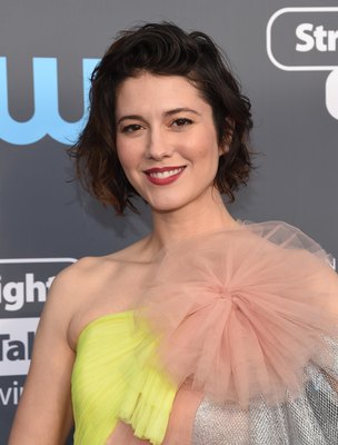 Mary Elizabeth Winstead Poster 2995134