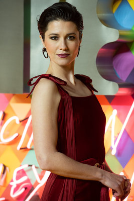 Mary Elizabeth Winstead Poster 3935849
