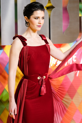 Mary Elizabeth Winstead Poster 3935884