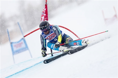 Matts Olsson Poster 3652098