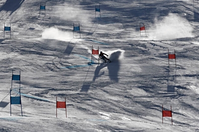 Matts Olsson Poster 3652122