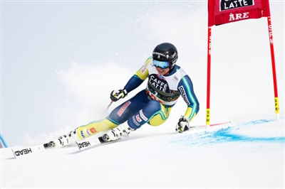 Matts Olsson Poster 3652141