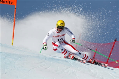Max Franz Poster 3645245