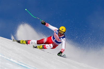 Max Franz Poster 3645255