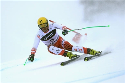 Max Franz Poster 3645273