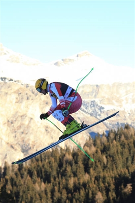 Max Franz Poster 3645299