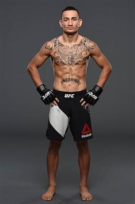 Max Holloway Poster 3521929