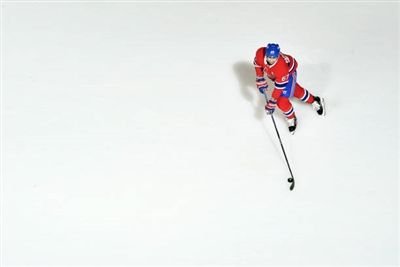 Max Pacioretty Poster 3549705