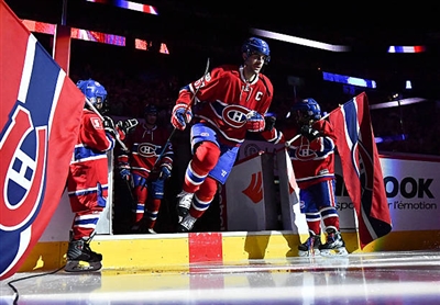 Max Pacioretty Poster 3549717