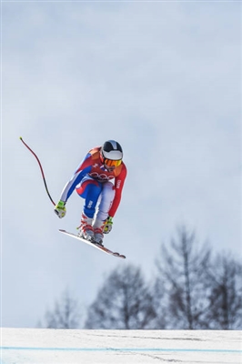 Maxence Muzaton Poster 3646597