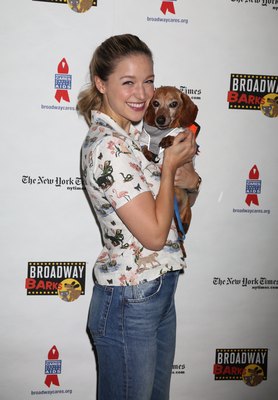 Melissa Benoist Poster 3802566