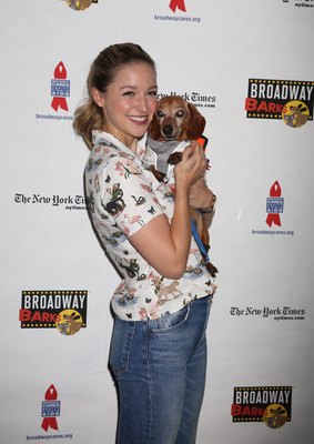 Melissa Benoist Poster 3802570