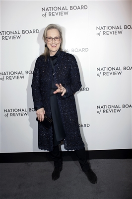Meryl Streep Poster 3034635