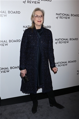 Meryl Streep Poster 3034648