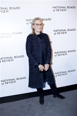 Meryl Streep Poster 3034694