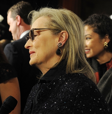 Meryl Streep Poster 3034796