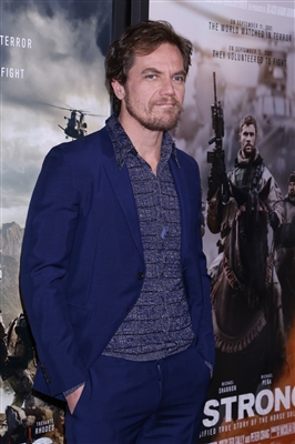 Michael Shannon Poster 3023936