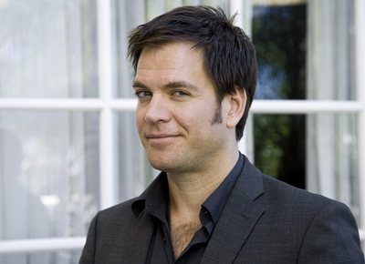 Michael Weatherly Poster 2273365