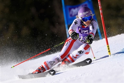 Michaela Kirchgasser Poster 3644317