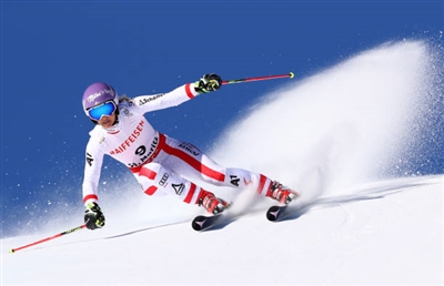 Michaela Kirchgasser Poster 3644324