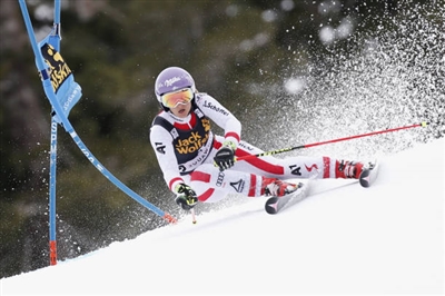 Michaela Kirchgasser Poster 3644339