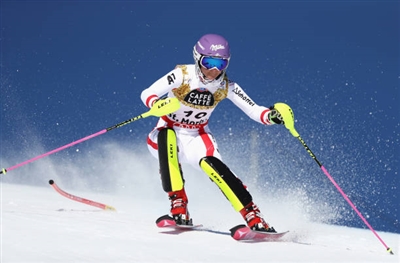 Michaela Kirchgasser Poster 3644341