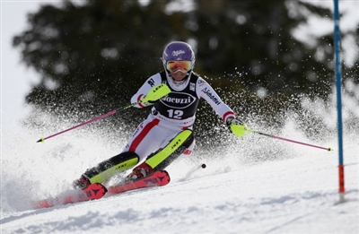 Michaela Kirchgasser Poster 3644354