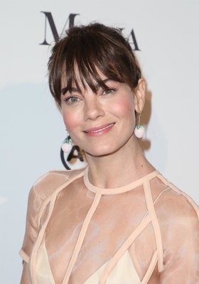 Michelle Monaghan Poster 2970330