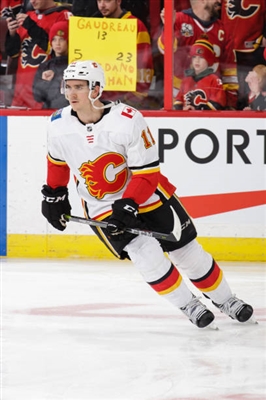 Mikael Backlund Poster 3579053