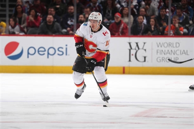 Mikael Backlund Poster 3579122
