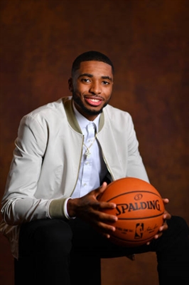 Mikal Bridges Poster 3377953