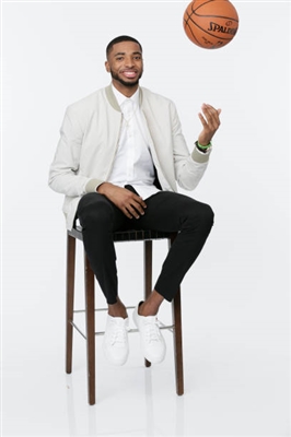 Mikal Bridges Poster 3377954