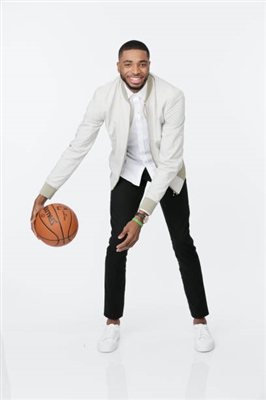Mikal Bridges Poster 3377956