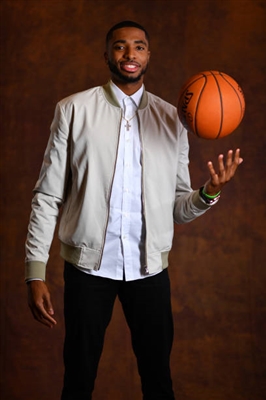 Mikal Bridges Poster 3377957