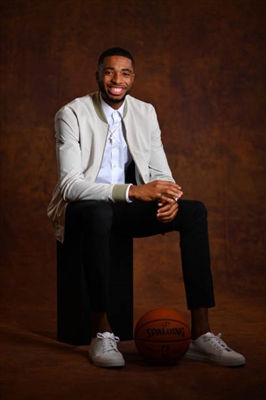 Mikal Bridges Poster 3377961