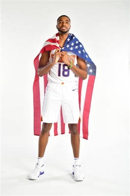 Mikal Bridges Poster 3377968