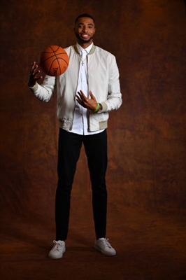 Mikal Bridges Poster 3377969