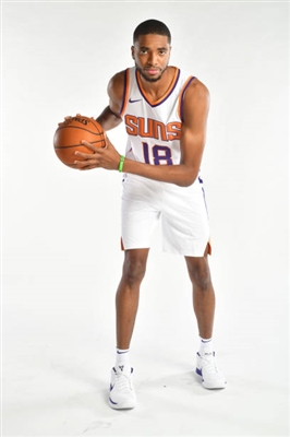 Mikal Bridges Poster 3377970