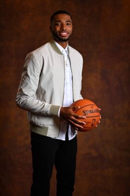 Mikal Bridges Poster 3377973