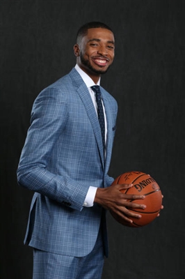 Mikal Bridges Poster 3377977