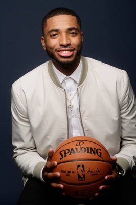 Mikal Bridges Poster 3377981