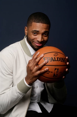 Mikal Bridges Poster 3377989