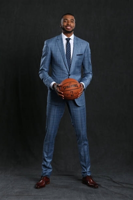 Mikal Bridges Poster 3377996