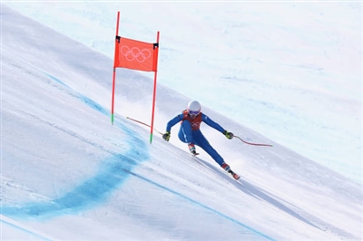 Nadia Fanchini Poster 3638244