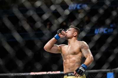Neil Magny Poster 3522440