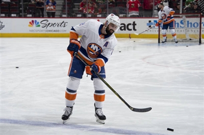 Nick Leddy Poster 3563339